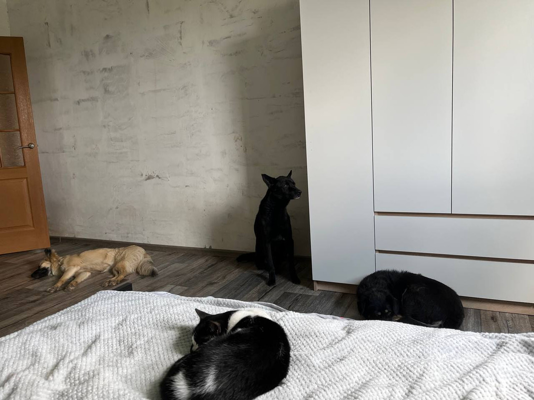 photo_2024-06-14_15-16-07 (2)