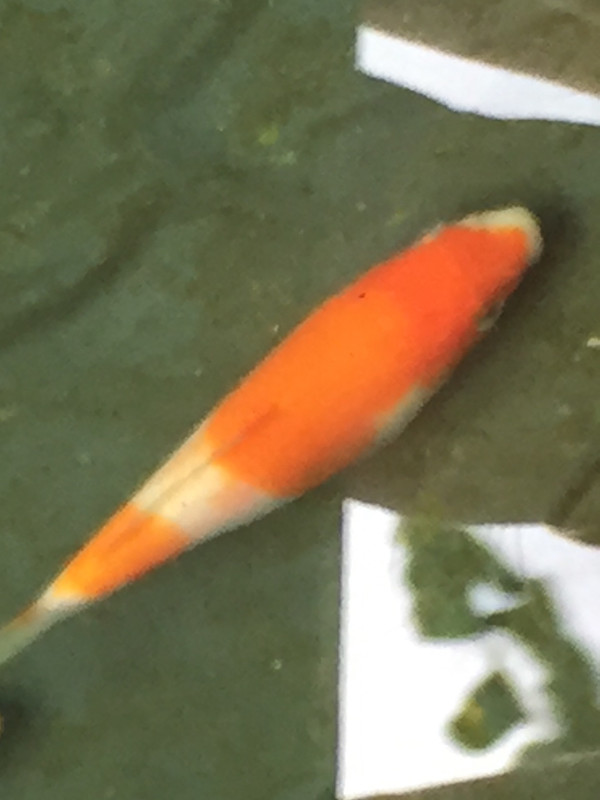 5DFECE00-EB2D-4CDE-B5B9-7BFE72824844