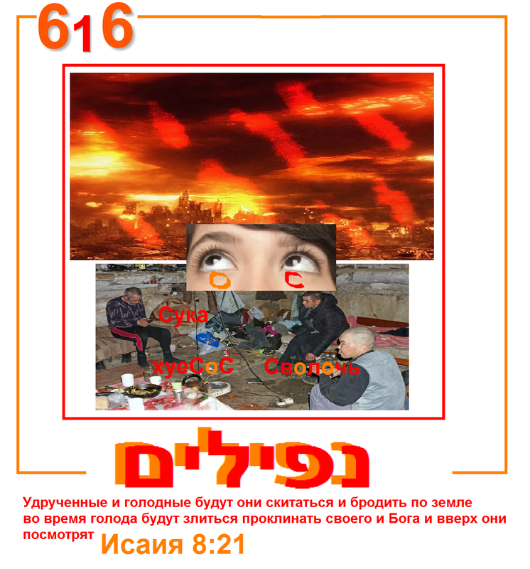 https://i.postimg.cc/7YWFJLZ6/692.png