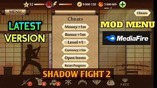 Shadow Fight 2