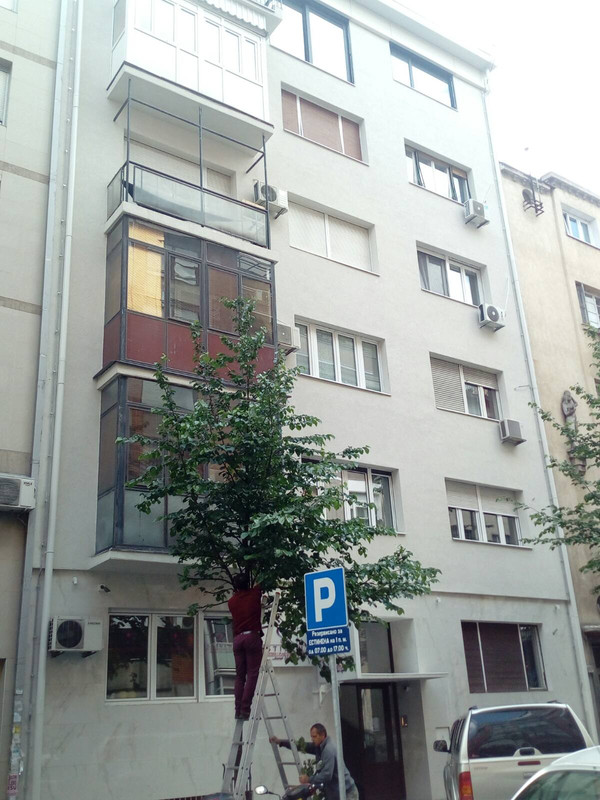 zelenilo-2020-06-01-00-07-29.jpg