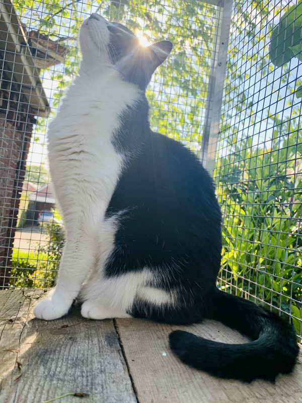 985347E2-8F64-460A-81DB-C8E8DD147D03