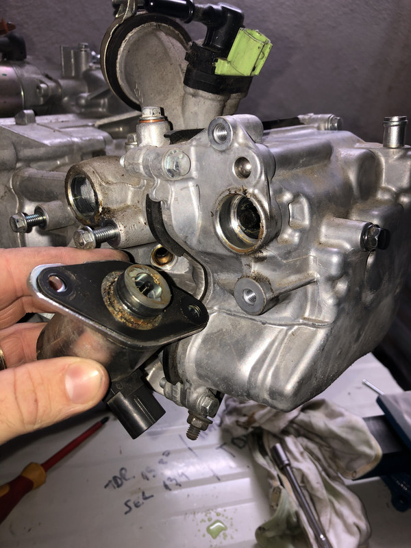 8E7EB2F5-C10B-45D8-AF09-1004BBD38F0B