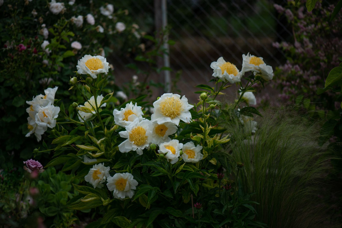IMG-7a4f33a7c8dbb68386c429311d2b175c-V