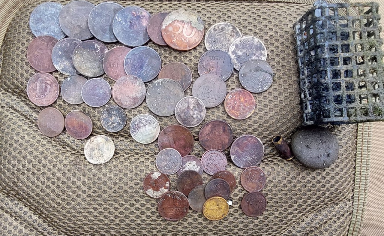 Скриншот 11-08-2024 131430