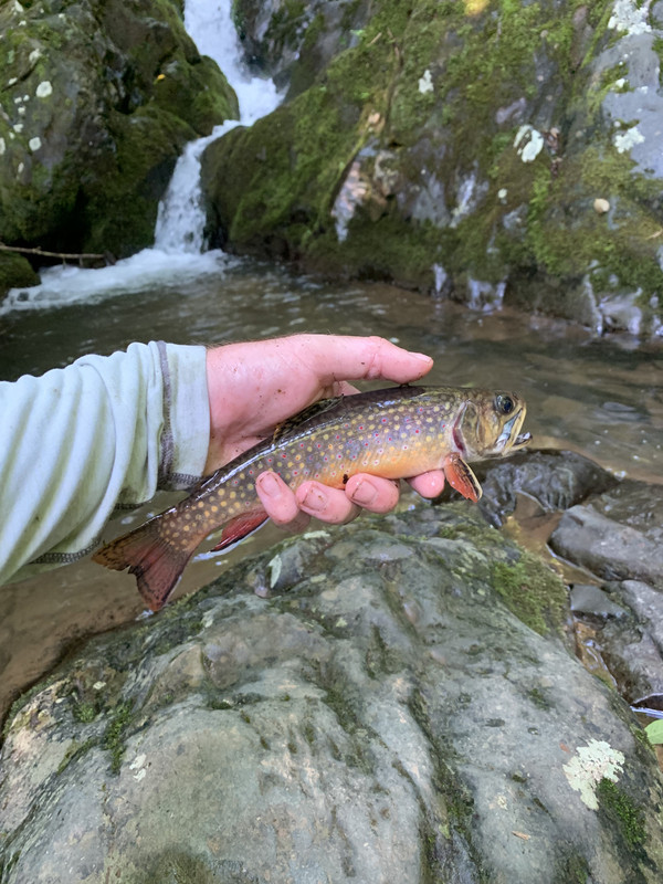 FEAA8045-4CE0-40C2-AFB3-01F730444578