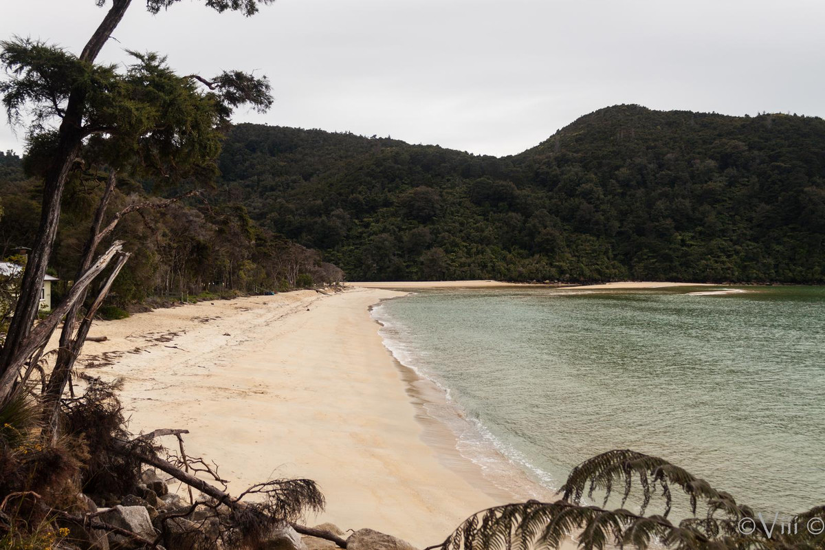 Día 7. Abel Tasman - Nueva Zelanda/Islas Cook - Viaje de novios a la Tierra Media (4)