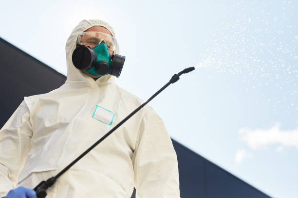 Termite Treatment Orlando