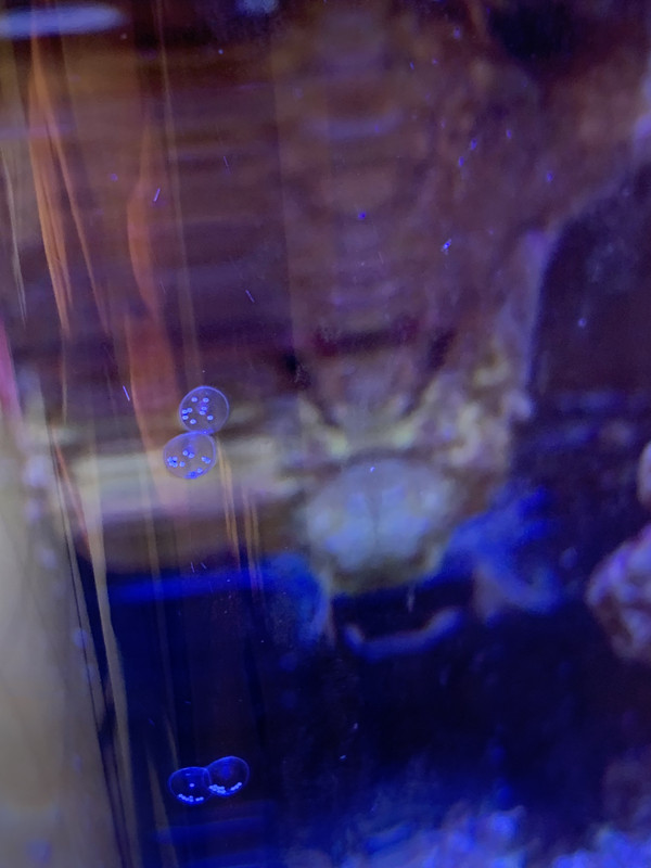 B101EB3D-458B-4D6D-A8A7-120A729EAAD8