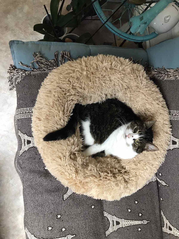 DB999DAF-A12F-4020-AEDF-2812EE92E11C