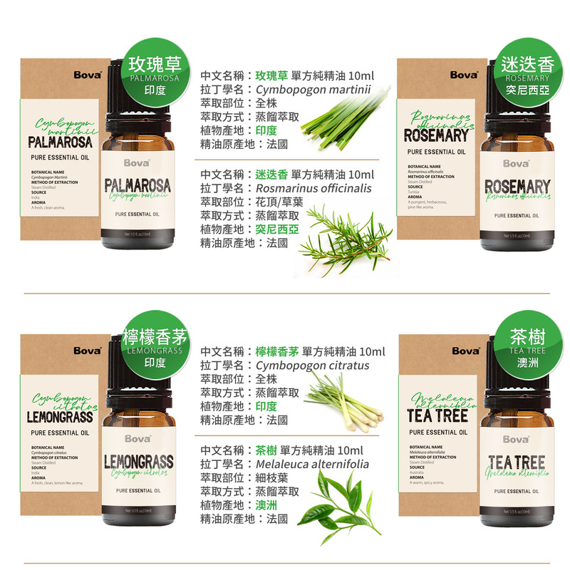花香調 精油 真正薰衣草 玫瑰天竺葵 5%大馬士革玫瑰 羅馬洋甘菊 - 香薰/精油/線香 - 精油 橘色