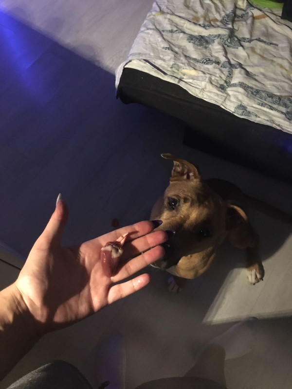 DCBAFCBA-C6F0-4046-AEFE-A1A09DA86C6F