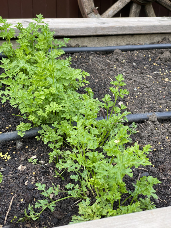 E0164D9F-F0B3-411B-84E9-6D7D227CD4B8