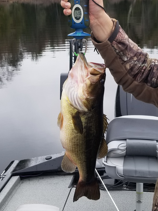 20190504-090104.jpg