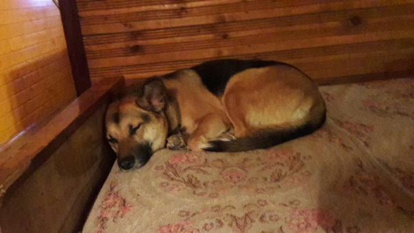 FFD4CDF0-DA5D-42A8-8123-BC6C39677371