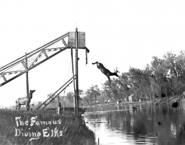 AF3-F3-B28-C981-42-DA-BC8-F-AD9-AF2-B2-B