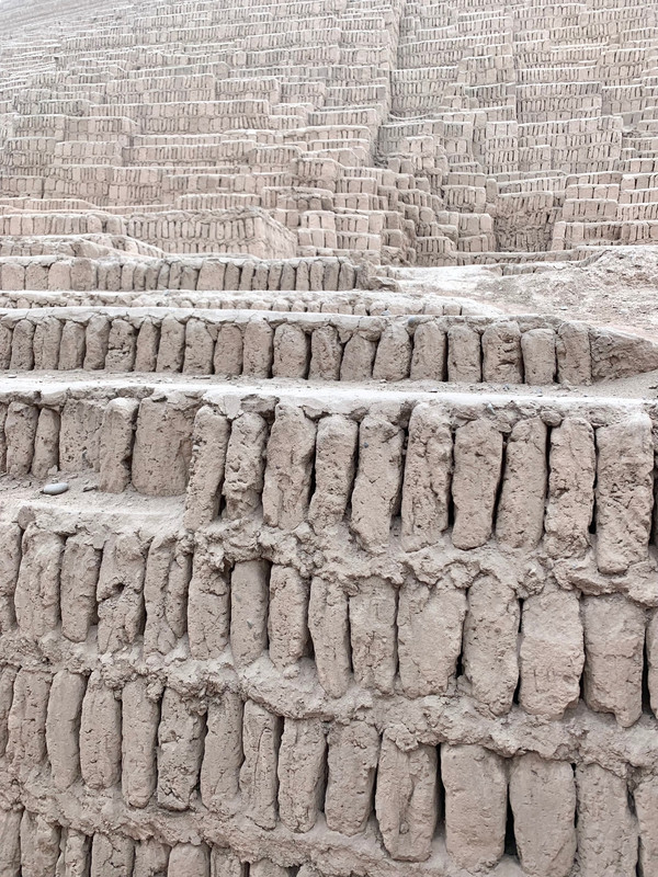 56EE3367-112E-47ED-B519-52D857DE80D3