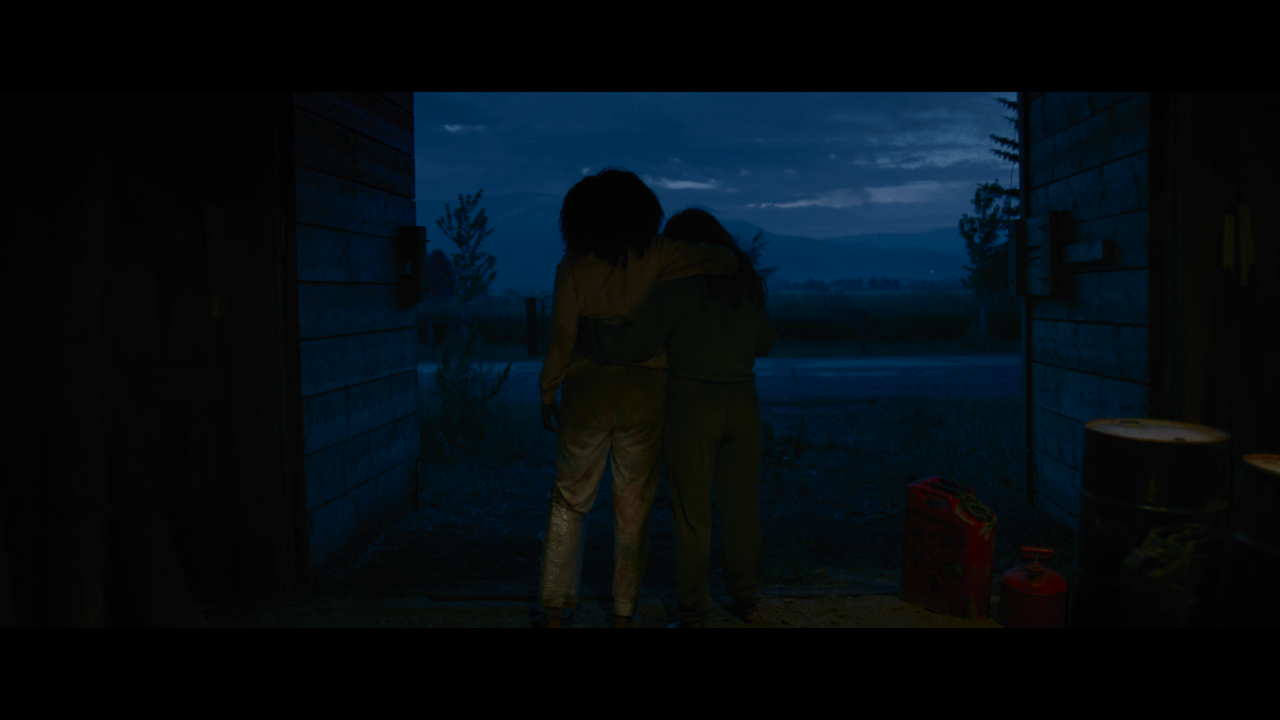 mpv-shot_Sick.2022.2160p.UHD.BDRemux.DV.HDR.HEVC-Нечипорук_01_16_51_0010