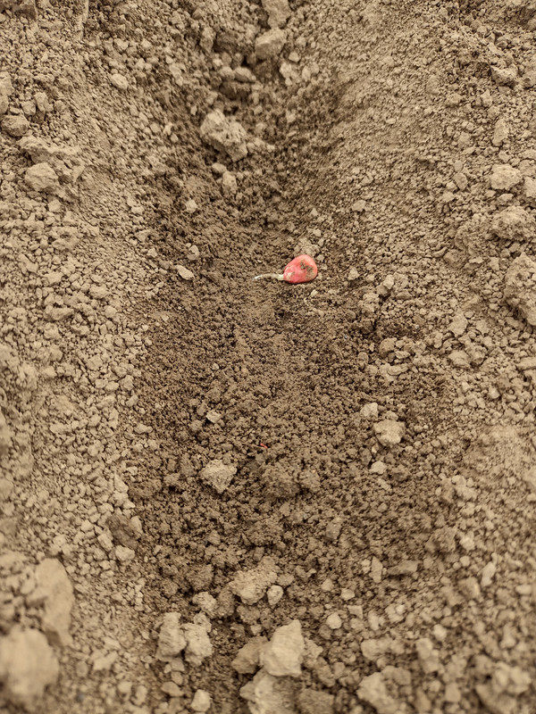 IMG-20250505-154106216-HDR.jpg