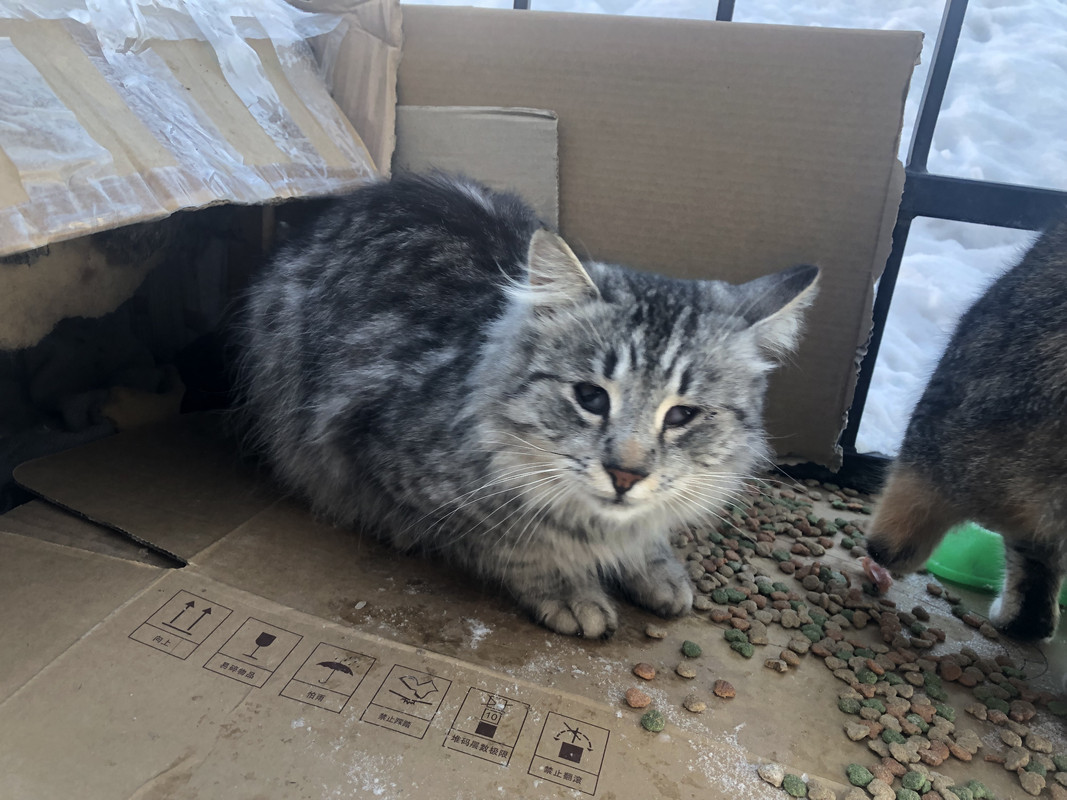 58373809-2B3E-4E1F-8FA7-C4BC8DB05627