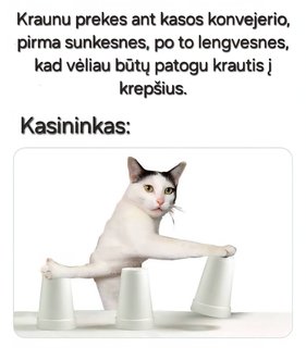 Paveikslėlis