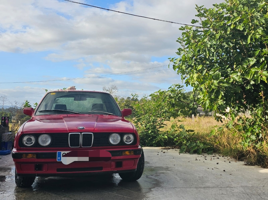 Screenshot_2023-08-03-03-33-30-571_com.miui.gallery-edit