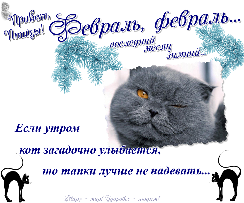 https://i.postimg.cc/7YYjTLjf/03-02.png
