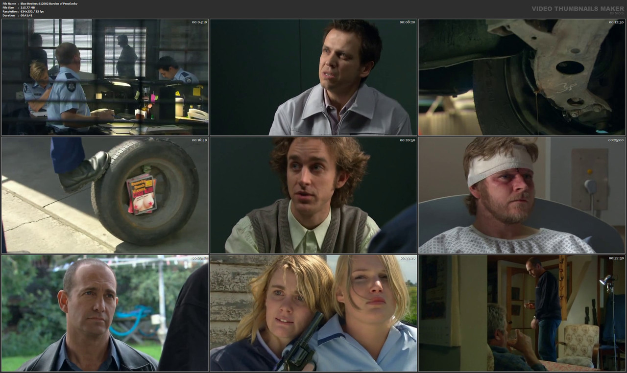 Blue Heelers S12E02 Burden of Proof.mkv