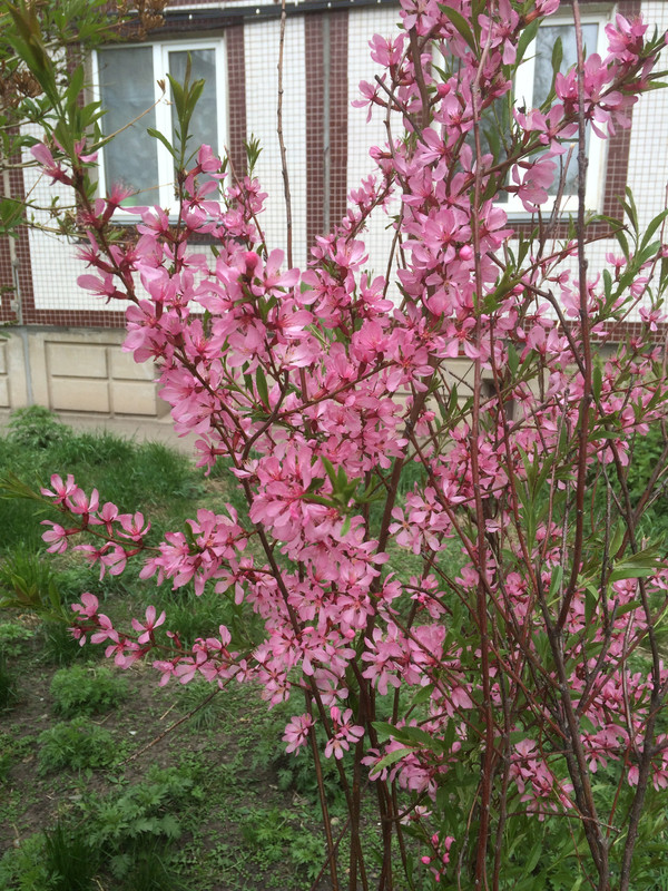 E6B78549-1ABF-480F-B5C2-05B9294FEDFB