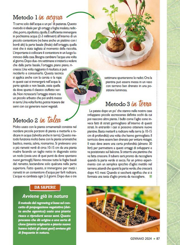 Sal Nat  Gen 2024 (12)