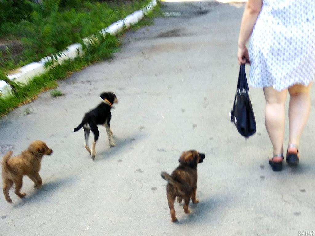 IMG-20190617-162451web.jpg