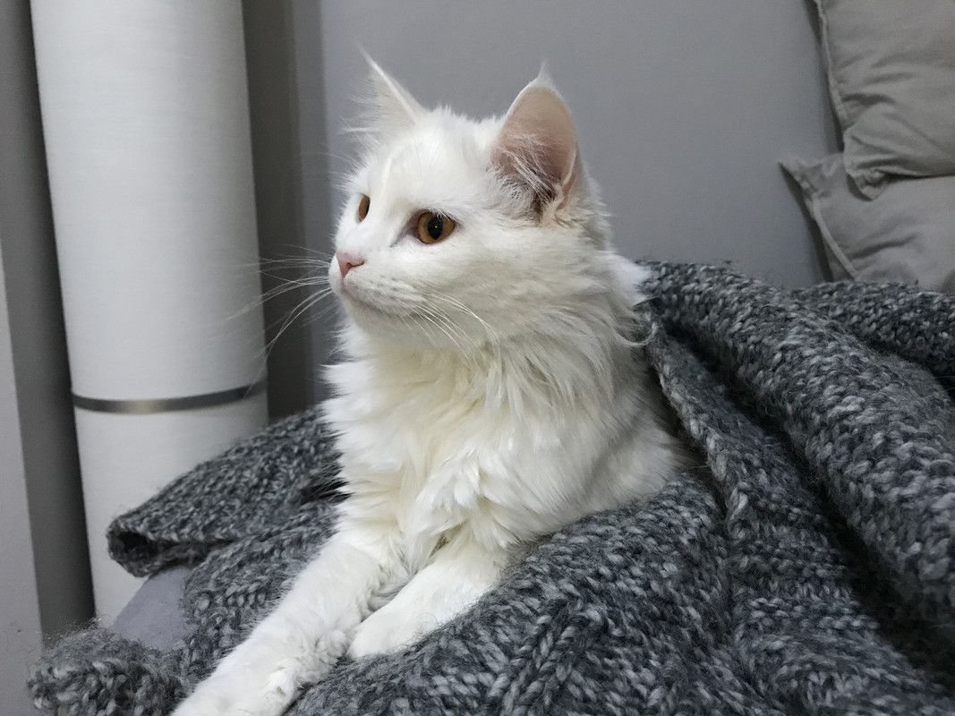 C66E3EED-8ACA-458A-8D7A-1B6CC5FF26C2