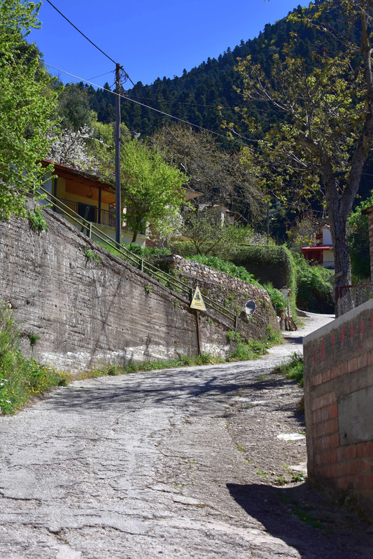 Άνω Βλασία (12)