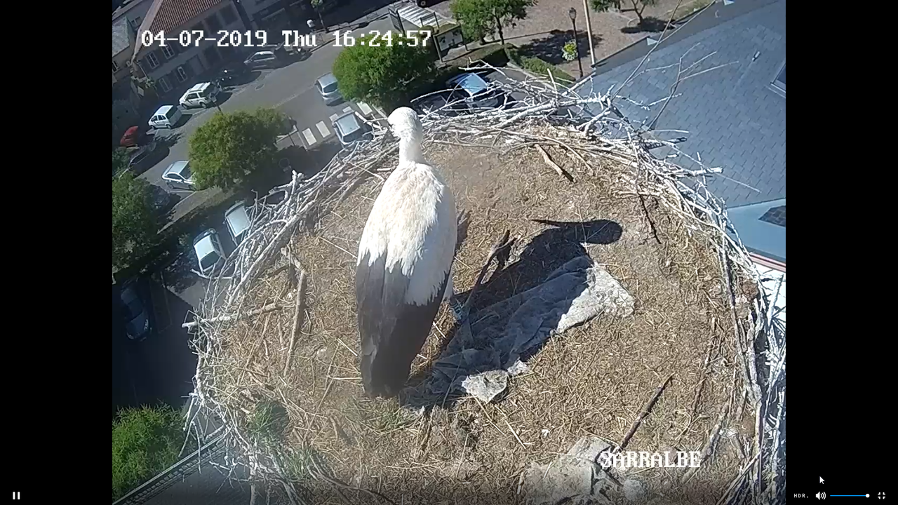 2019-07-04 16_24_05-Greenshot