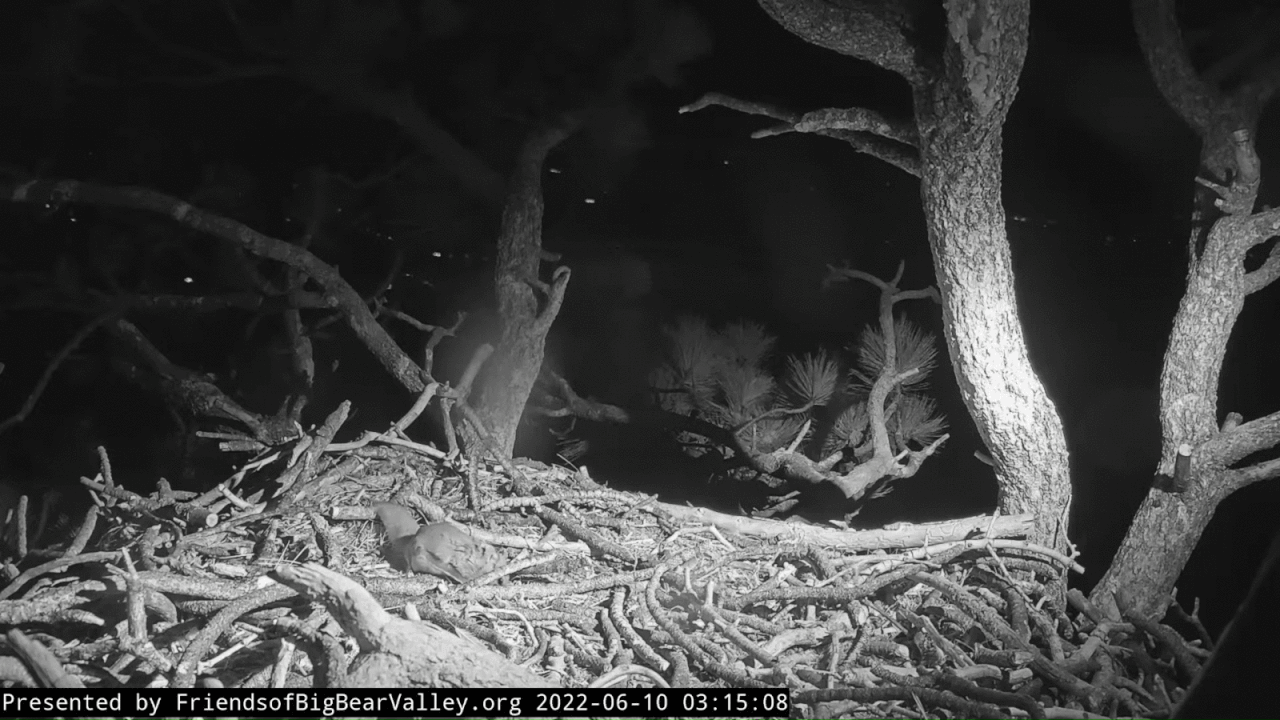 Webp.net-gifmaker (12)