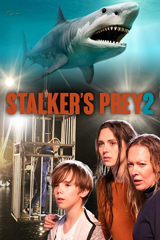 Stalker’s Prey 2 2020 English 720p HDRip 800MB ESubs Download