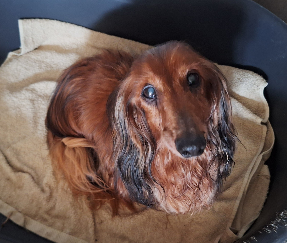 [Image: 20250818-094719.jpg]