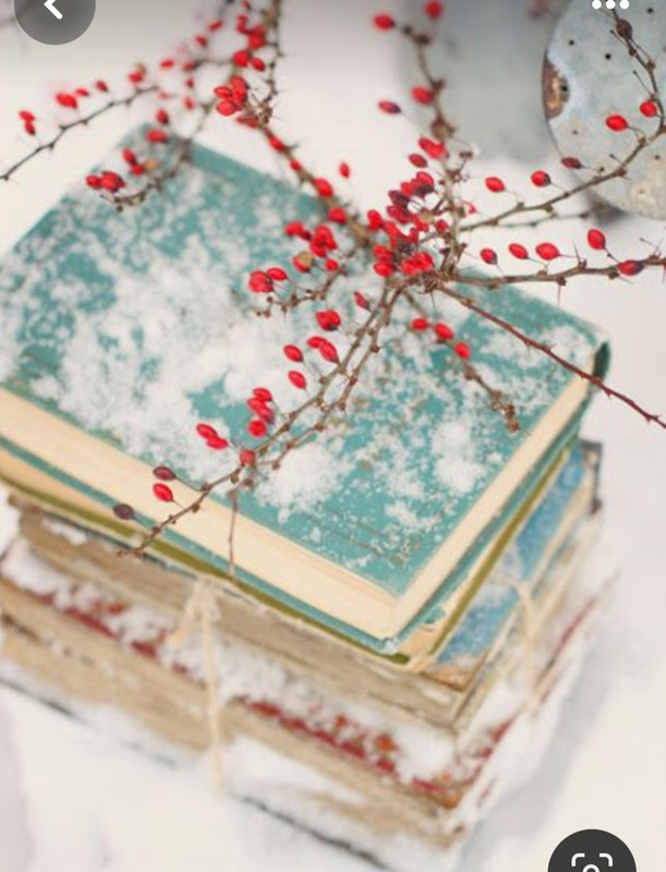 Screenshot_20240201_223249_Pinterest