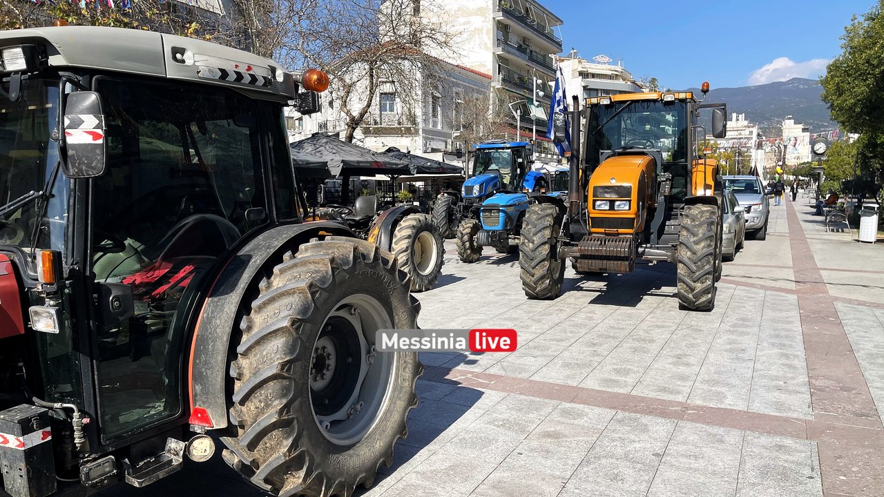 agrotes-IMG-9611