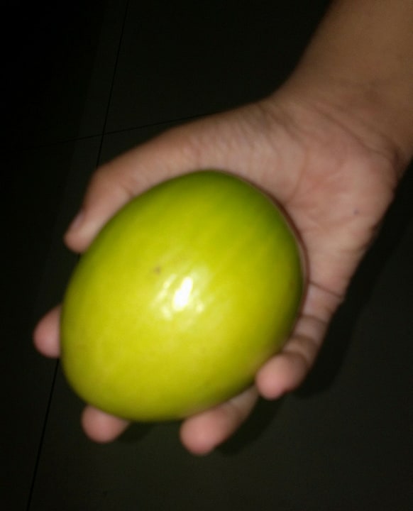 27847870_1030474523759103_864963651_n