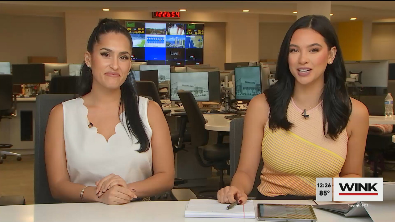 10.24 - 17.00.00 - The WINK Noon News  ᴺᵉʷ. Midday news update..ts_snapshot_33.16.239