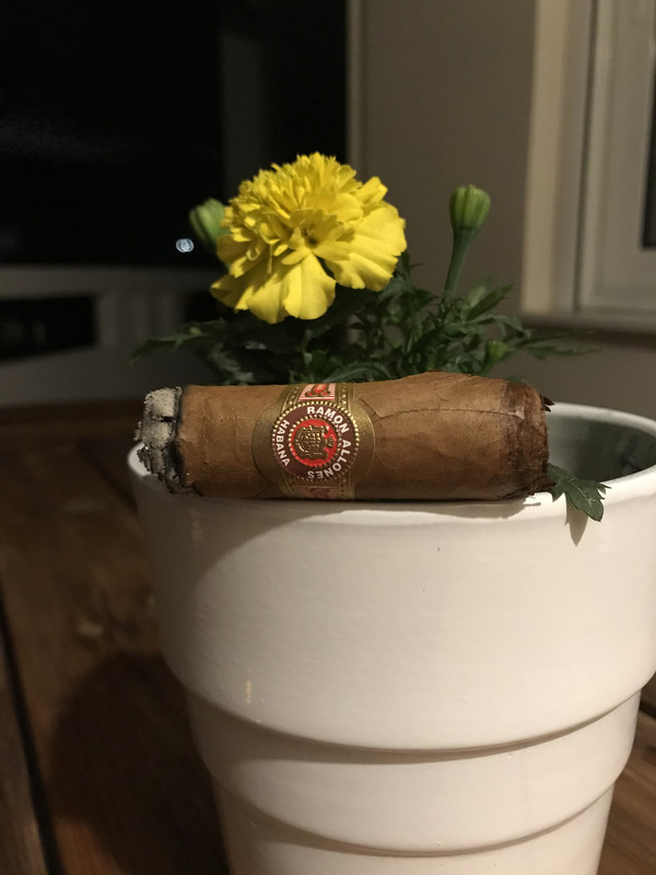 CF825DF5-EC74-4960-8EDE-E2B3DF2A72EA