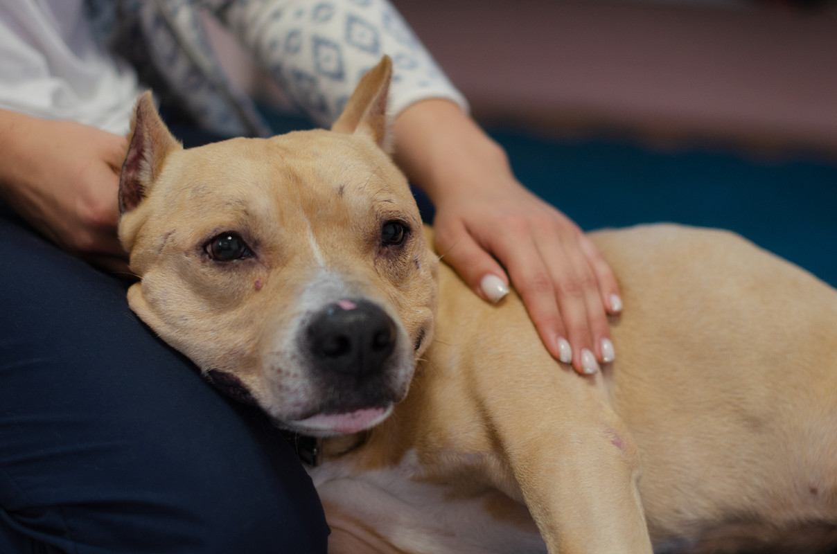 C8C47B62-678F-47AF-B445-6F2ADA8186C7