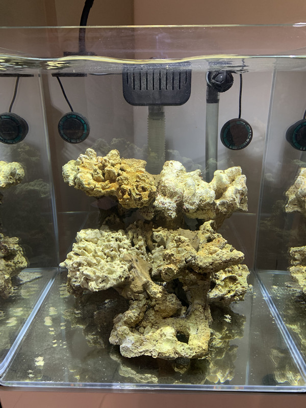 65A98E2B-C9AB-451F-9DCC-03DA9CB7AD1E