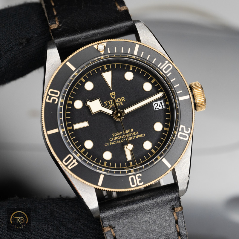 Tudor Black Bay S&G