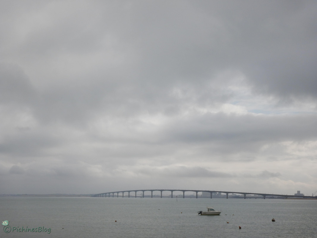 DSCN1550