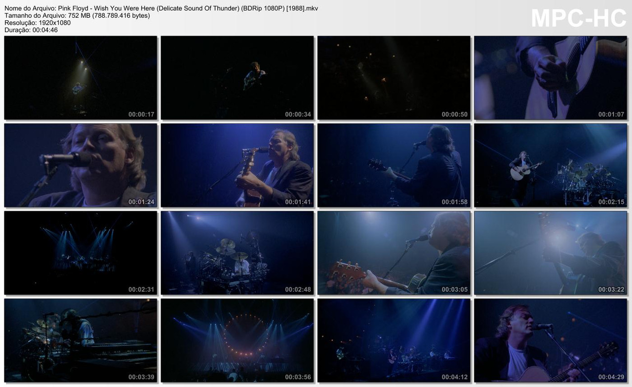 Pink Floyd - Wish You Were Here (Delicate Sound Of Thunder) (BDRip 1080P) [1988]
