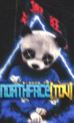 nortface.gif