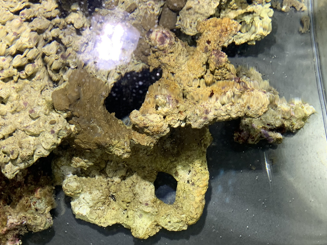 9F63B0E4-050C-4739-A999-296F70326B8D