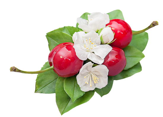 Mariposa_Kit_46